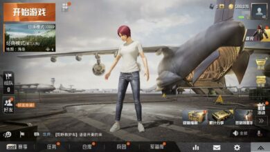 PUBG Mobile Chinese Version Download