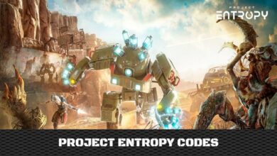 Project Entropy Codes