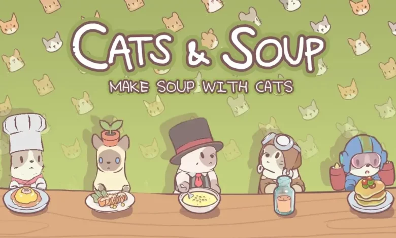 Cats and Soup Codes