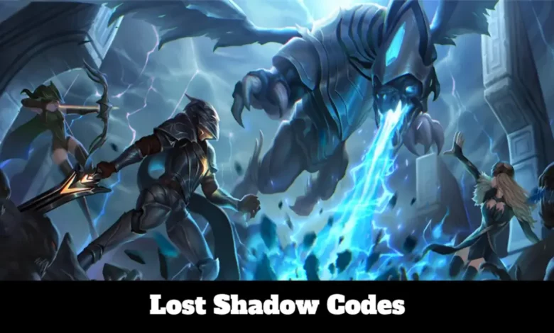 Lost Shadow Codes