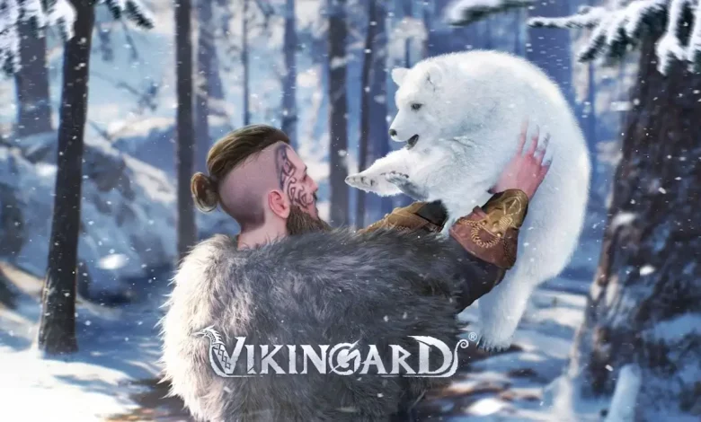 Vikingard Codes